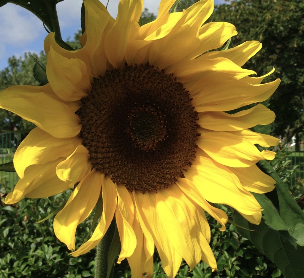 PIYwfp9_TYiGcaUcctkUbQ_thumb_b47