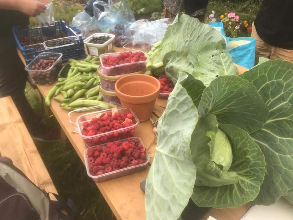 UNADJUSTEDNONRAW_thumb_15b7