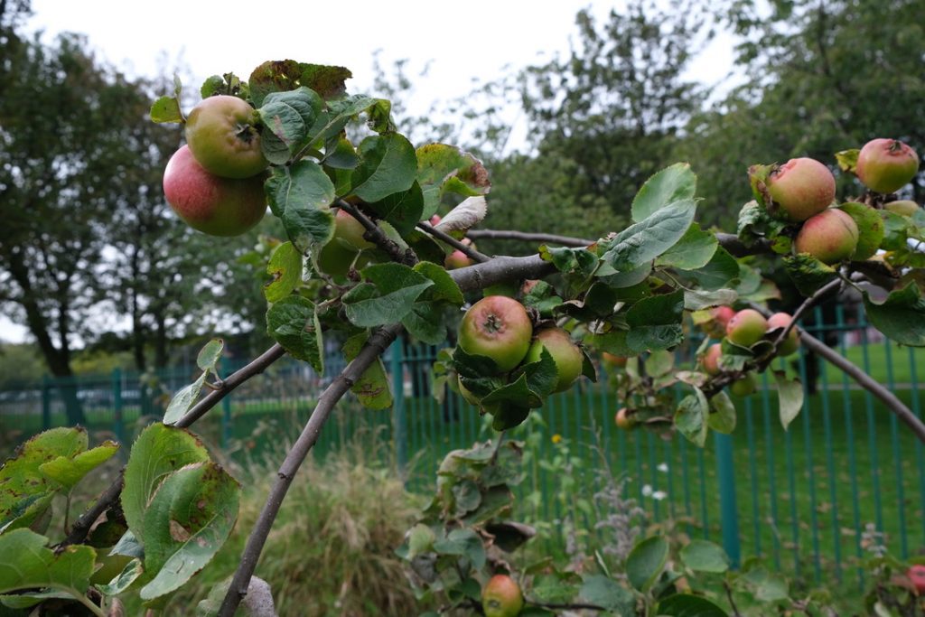 UNADJUSTEDNONRAW_thumb_1787