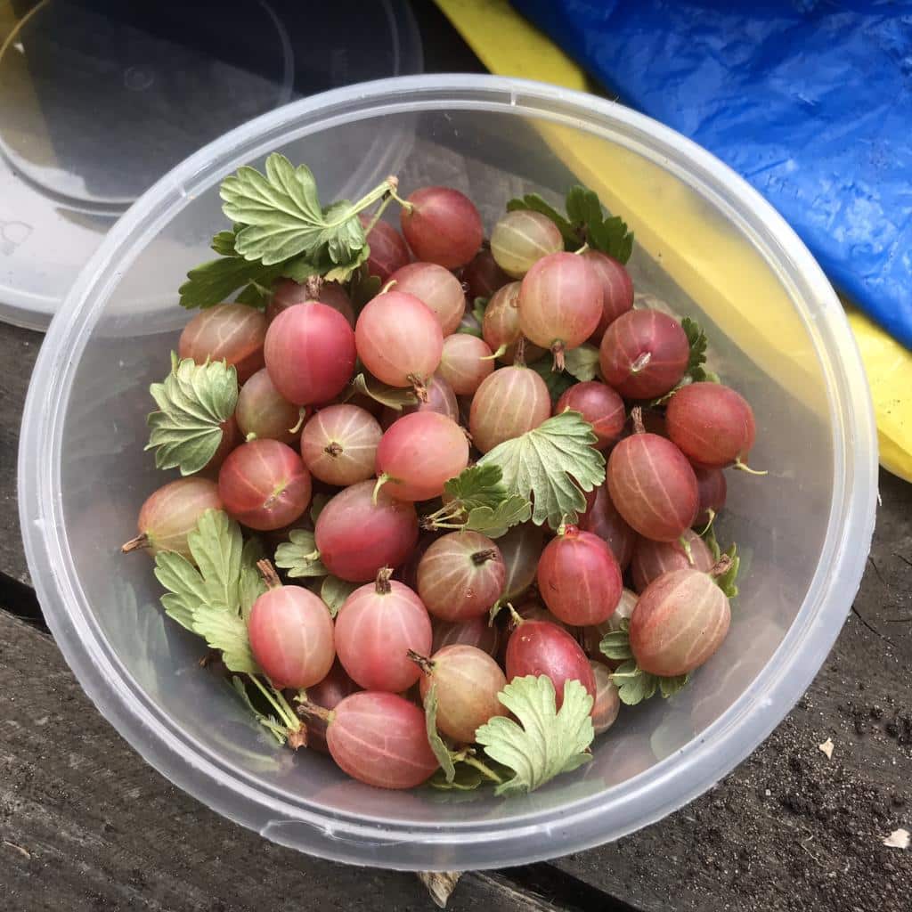 UNADJUSTEDNONRAW_thumb_2e20