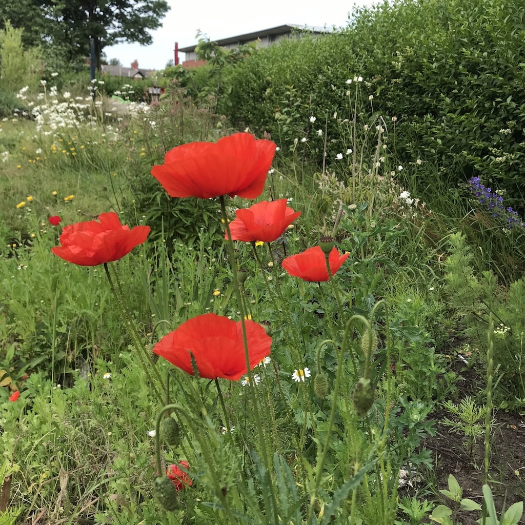 UNADJUSTEDNONRAW_thumb_330b