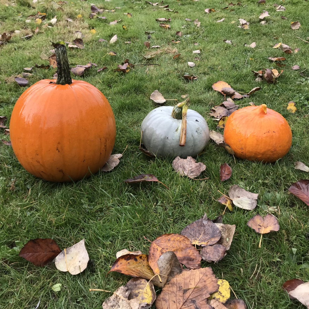 UNADJUSTEDNONRAW_thumb_339b