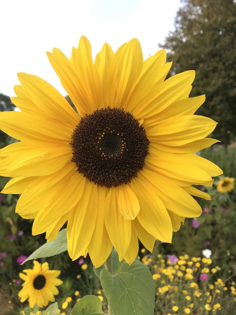 UNADJUSTEDNONRAW_thumb_33b2