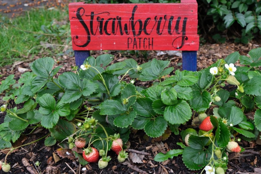 UNADJUSTEDNONRAW_thumb_36f3